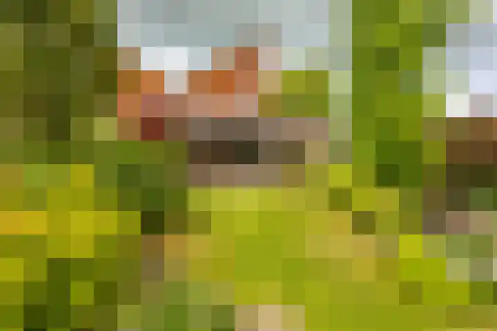Kromme Riet 38 Groningen thumbnail 31