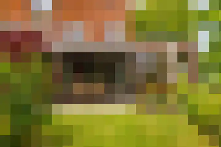 Kromme Riet 38 Groningen thumbnail 32