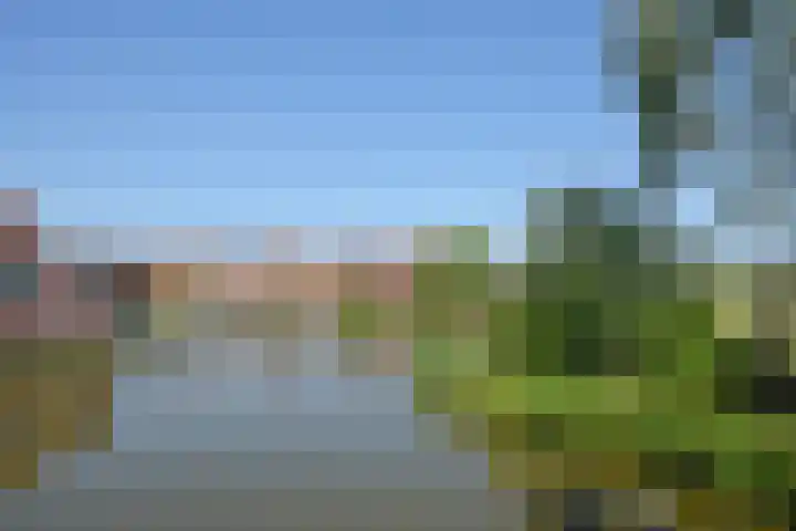 Kromme Riet 38 Groningen thumbnail 36