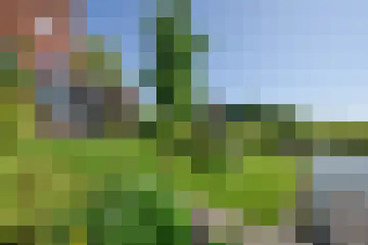 Kromme Riet 38 Groningen thumbnail 37