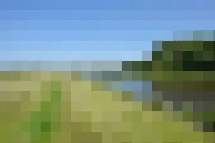 Kromme Riet 38 Groningen thumbnail 38