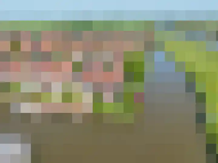 Kromme Riet 38 Groningen thumbnail 39