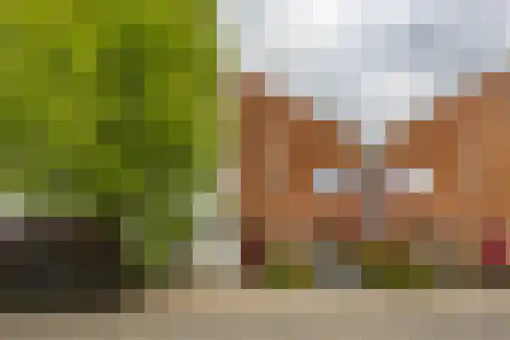 Kromme Riet 38 Groningen thumbnail 4