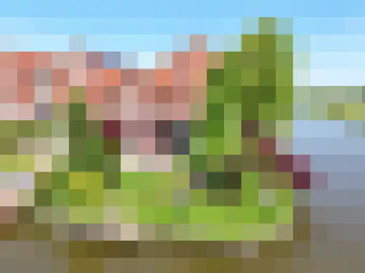 Kromme Riet 38 Groningen thumbnail 40