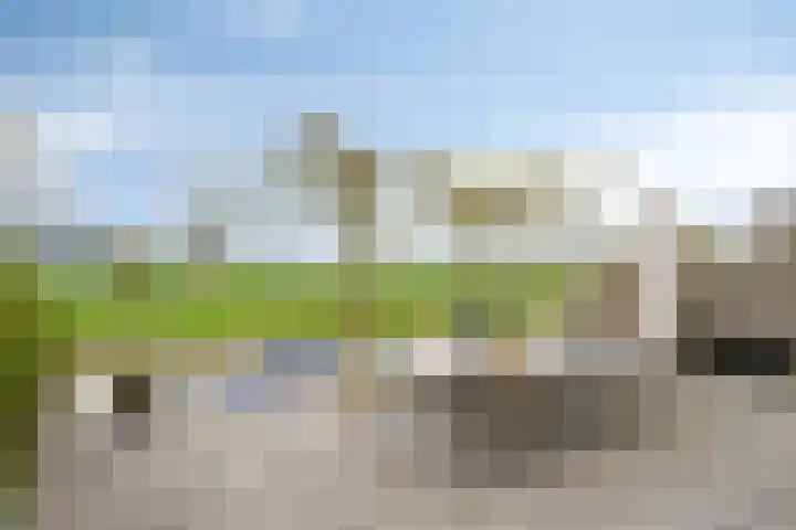 Kromme Riet 9 Groningen thumbnail 22