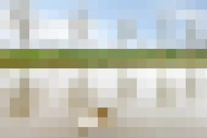 Kromme Riet 9 Groningen thumbnail 24
