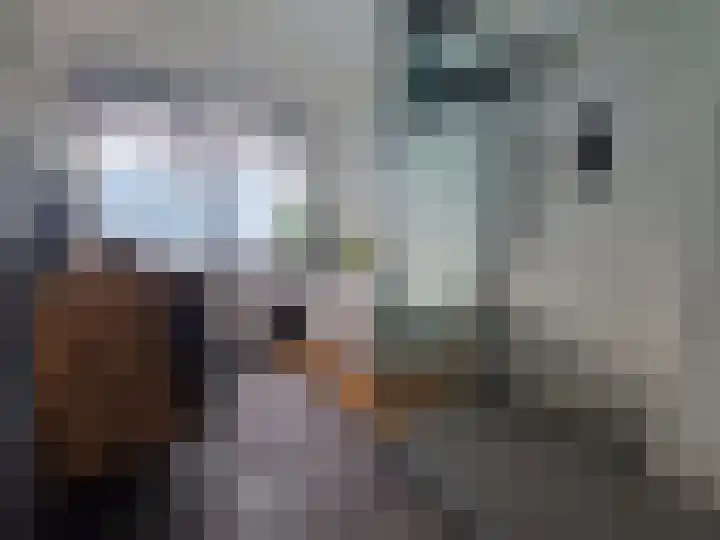 Kromme Rijn 10 Apeldoorn thumbnail 16