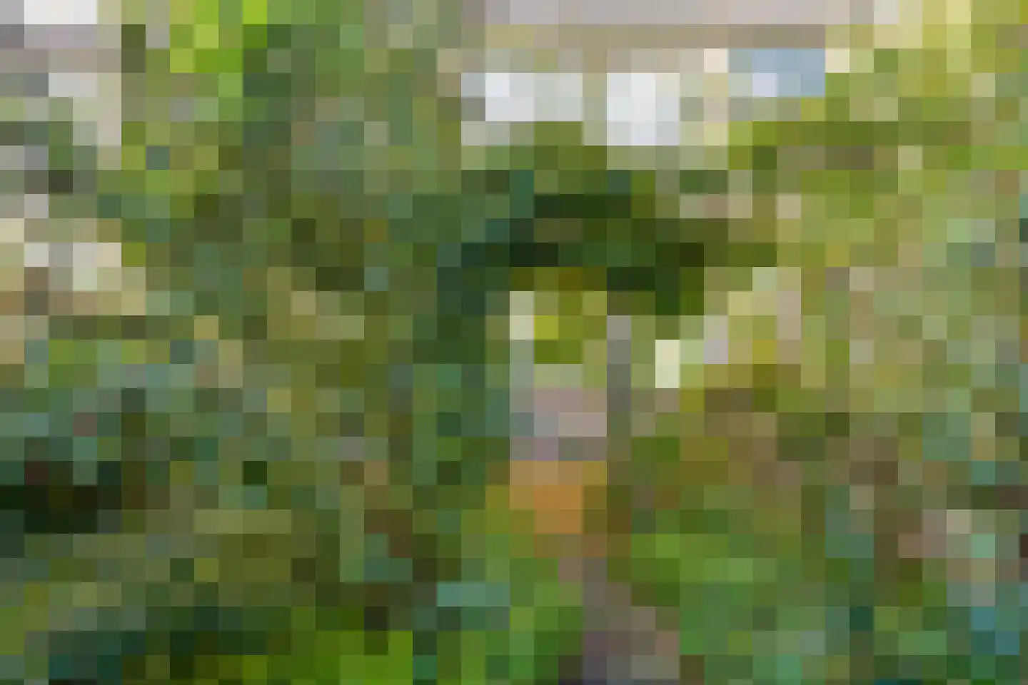 Kromme Rijn 5 Zwolle thumbnail 28