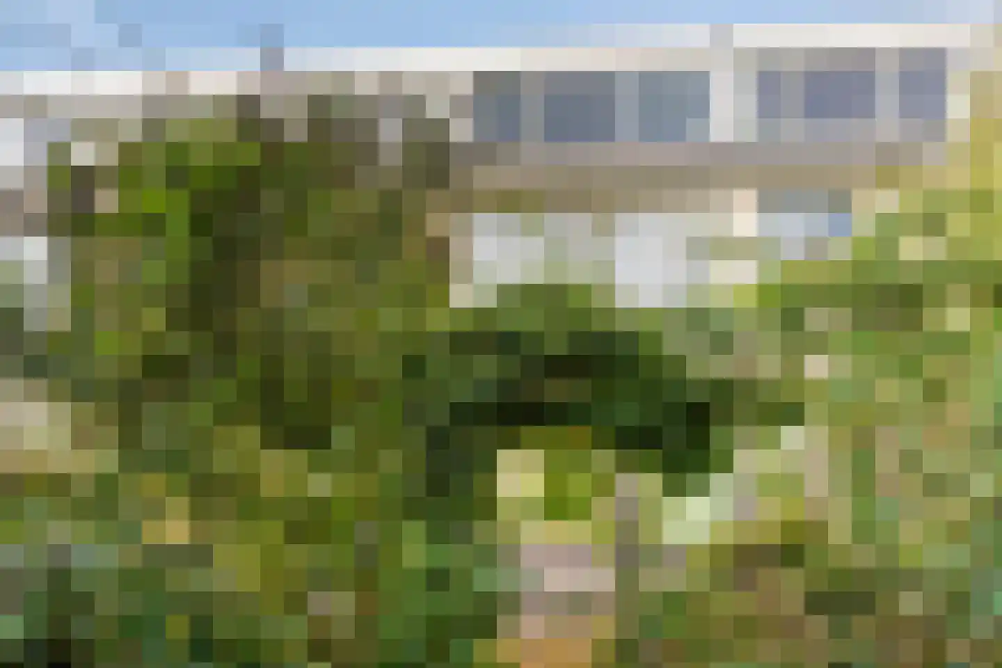 Kromme Rijn 5 Zwolle thumbnail 29