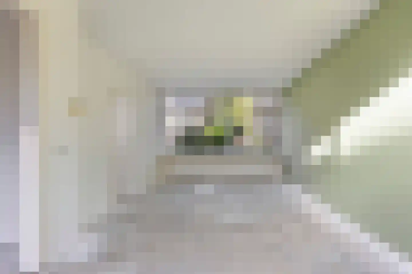 Kromme Rijn 5 Zwolle thumbnail 7
