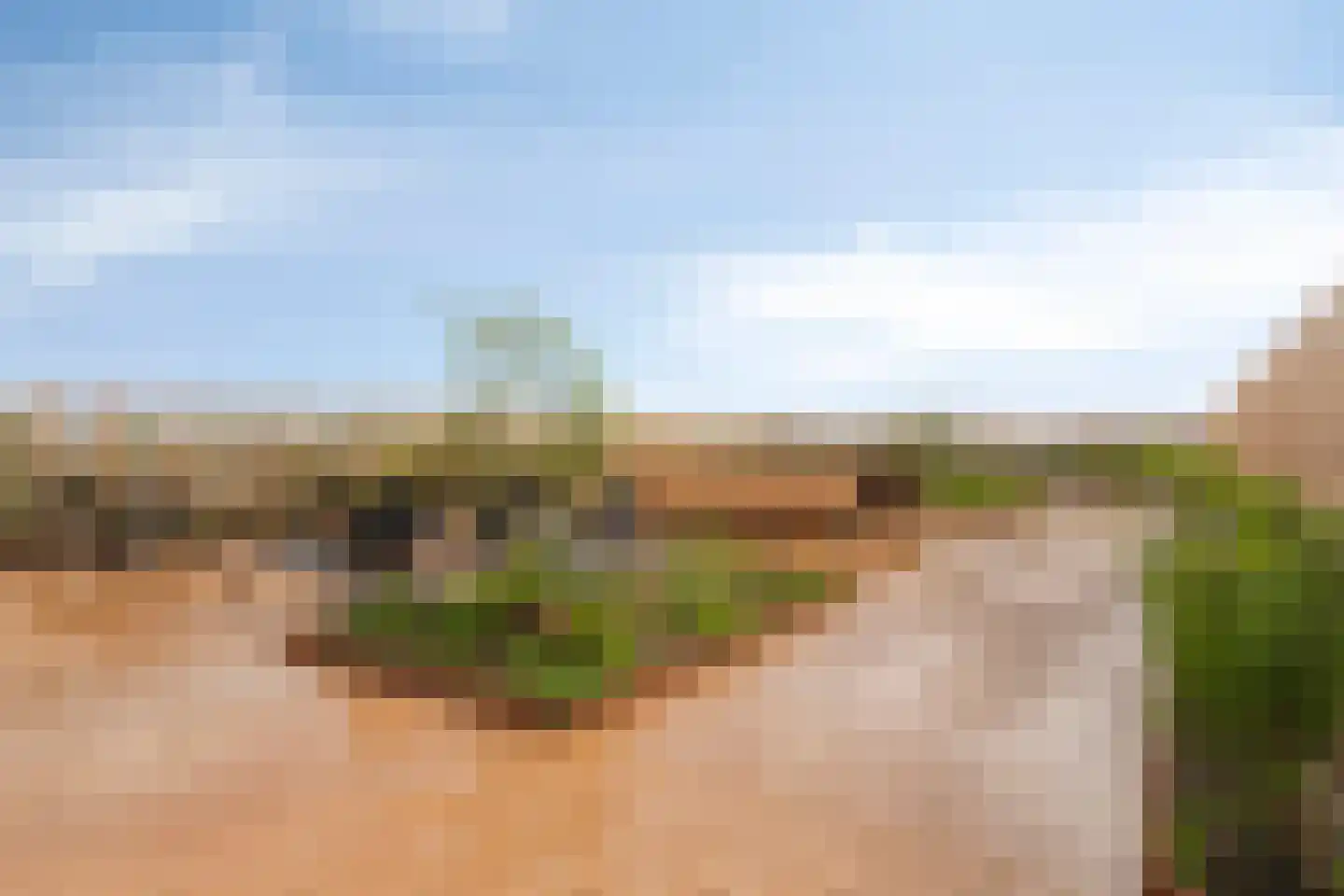 Kromme Schaft 3 036 Houten thumbnail 16