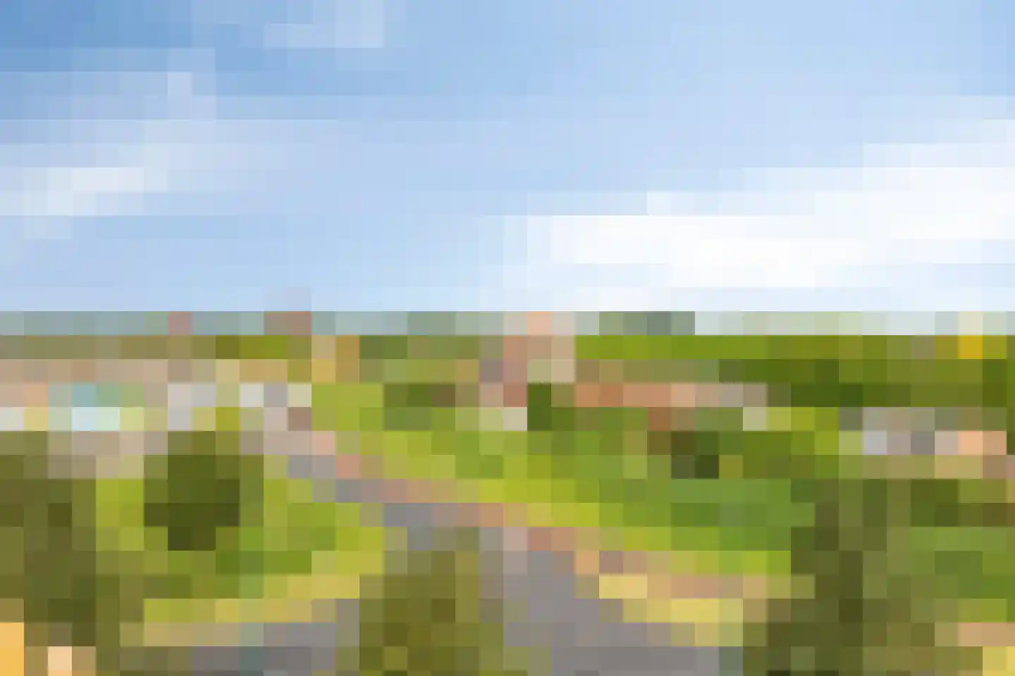 Kromme Schaft 3 036 Houten thumbnail 19
