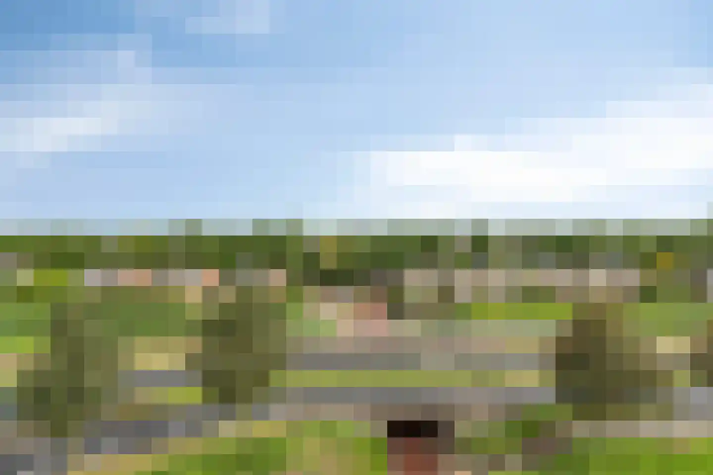 Kromme Schaft 3 036 Houten thumbnail 20