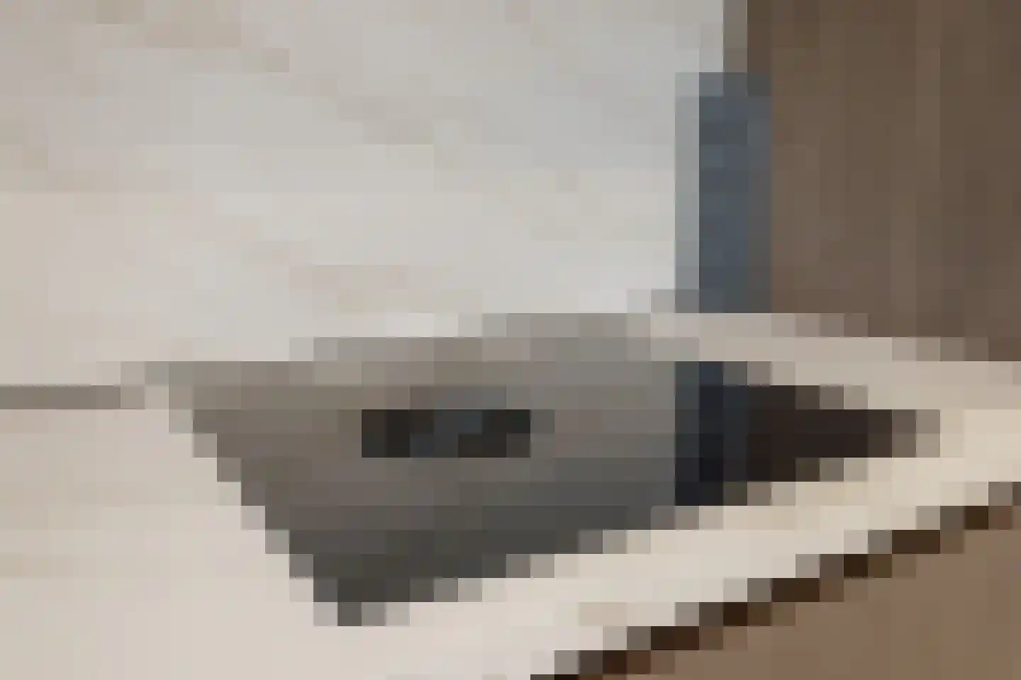 Kromme Schaft 3005 Houten thumbnail 14