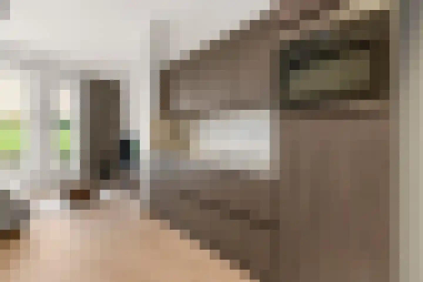 Kromme Schaft 3005 Houten thumbnail 15