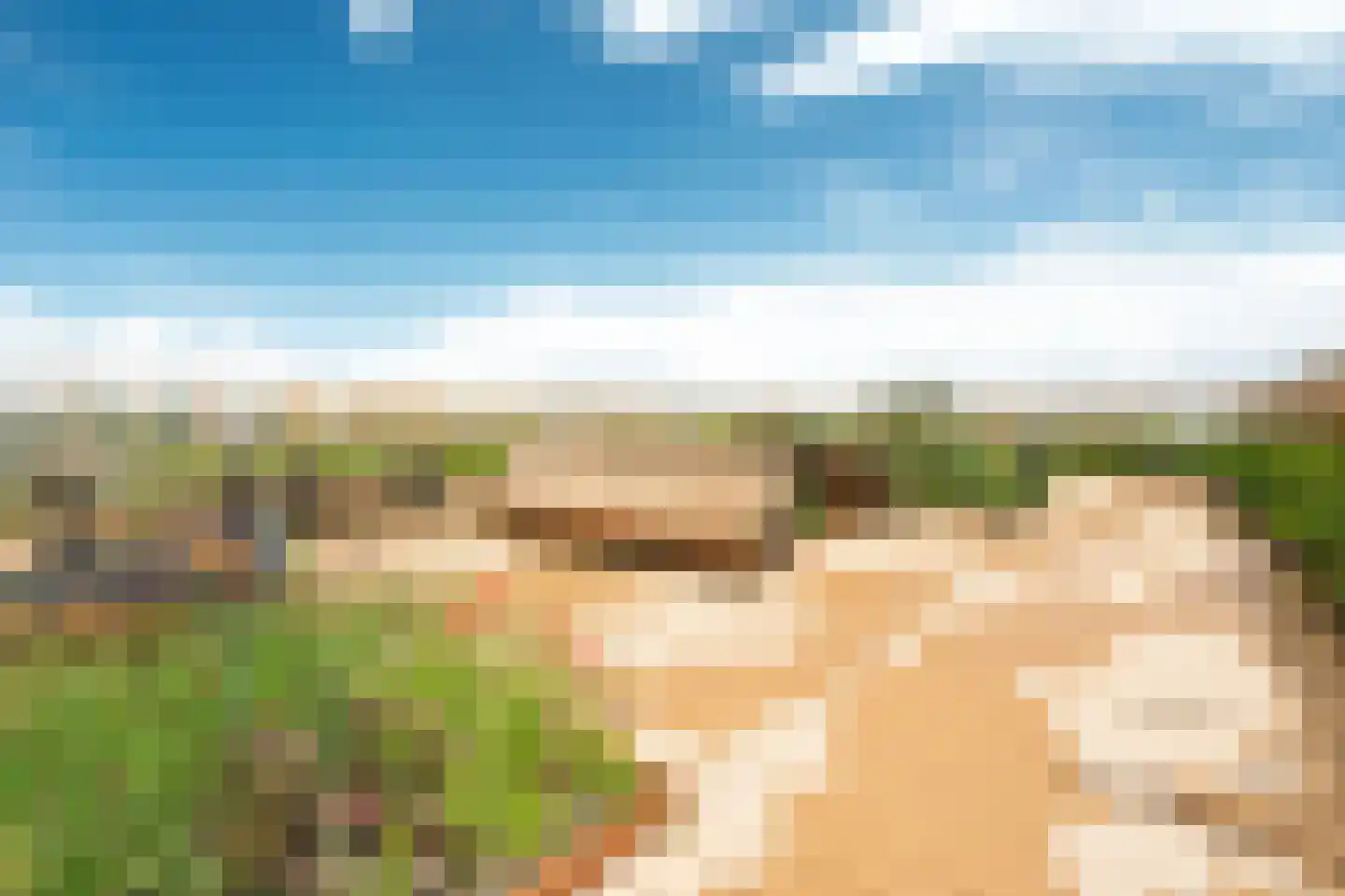 Kromme Schaft 3117 Houten thumbnail 15