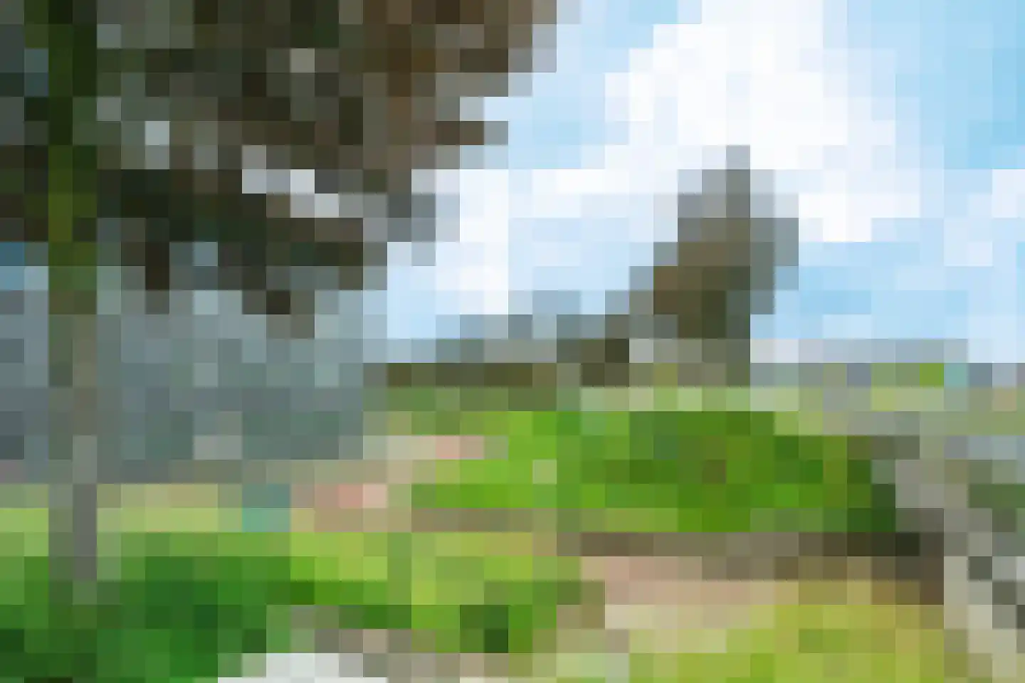 Kromme Schaft 3117 Houten thumbnail 5