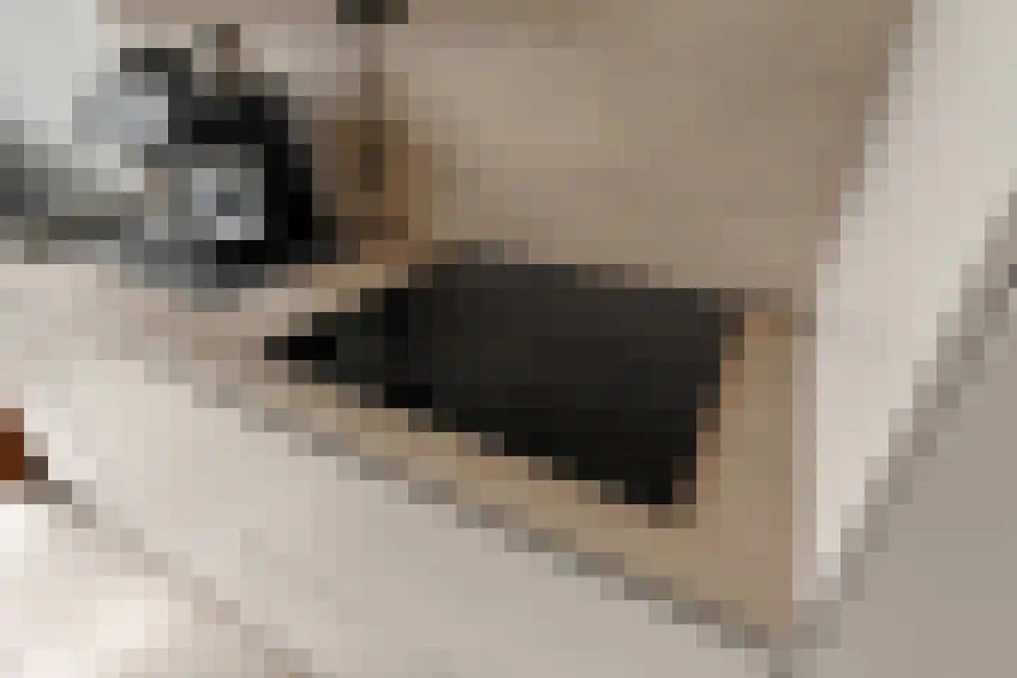 Kromme Schaft 3169 Houten thumbnail 13