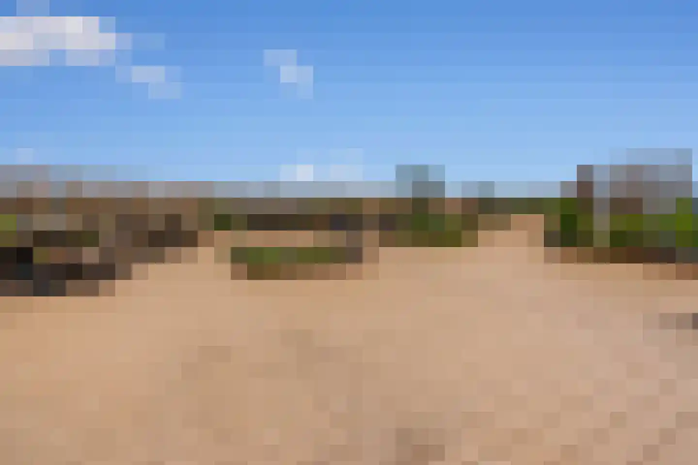 Kromme Schaft 3169 Houten thumbnail 23