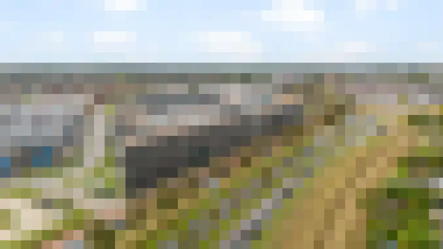 Kromme Schaft 3169 Houten thumbnail 28