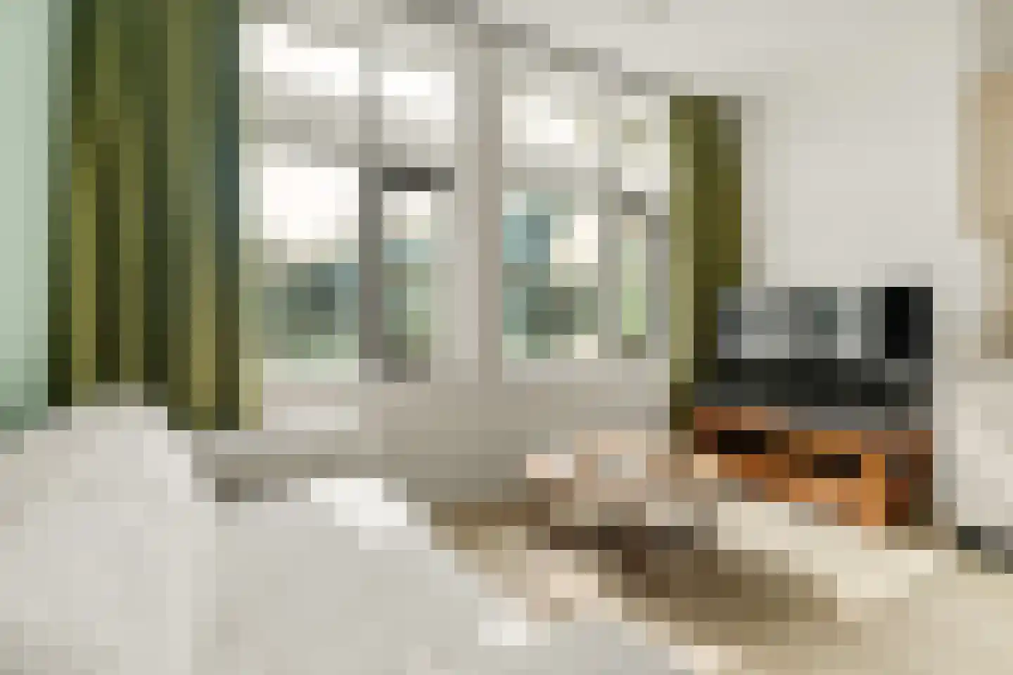 Kromme Schaft 3169 Houten thumbnail 8