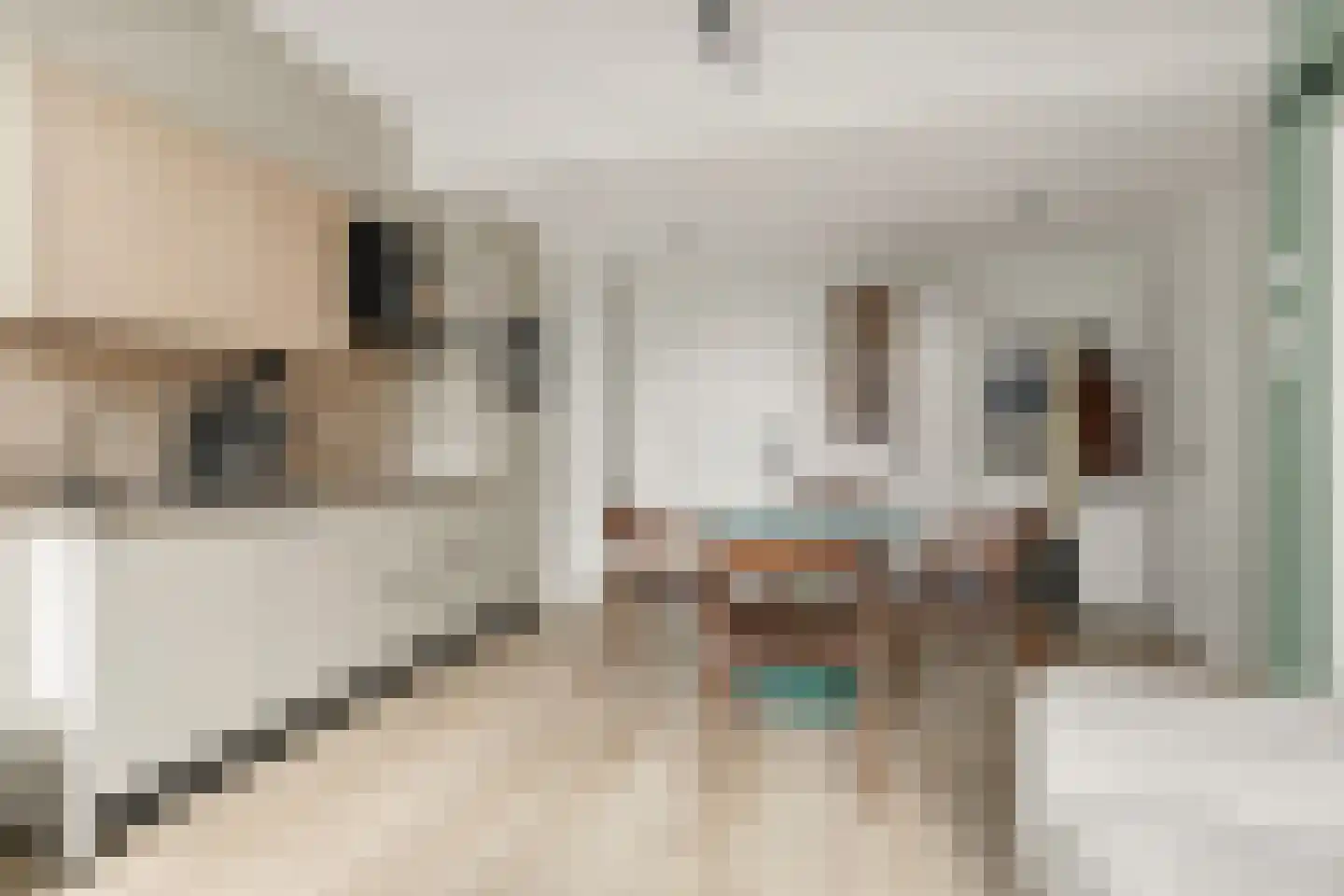 Kromme Schaft 3169 Houten thumbnail 9