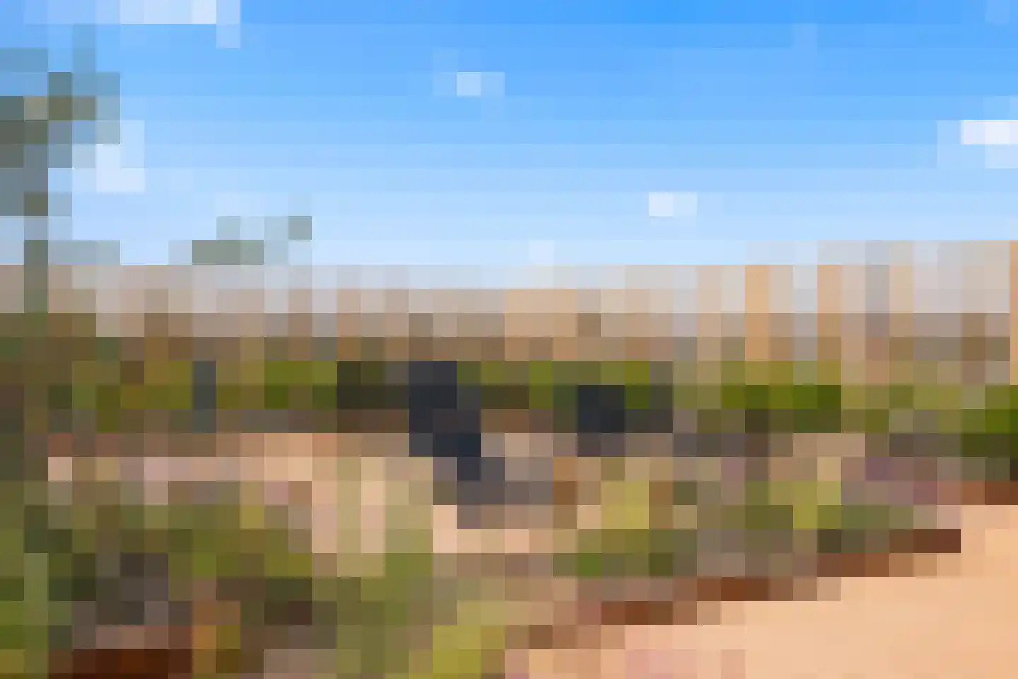 Kromme Schaft 3218 Houten thumbnail 25