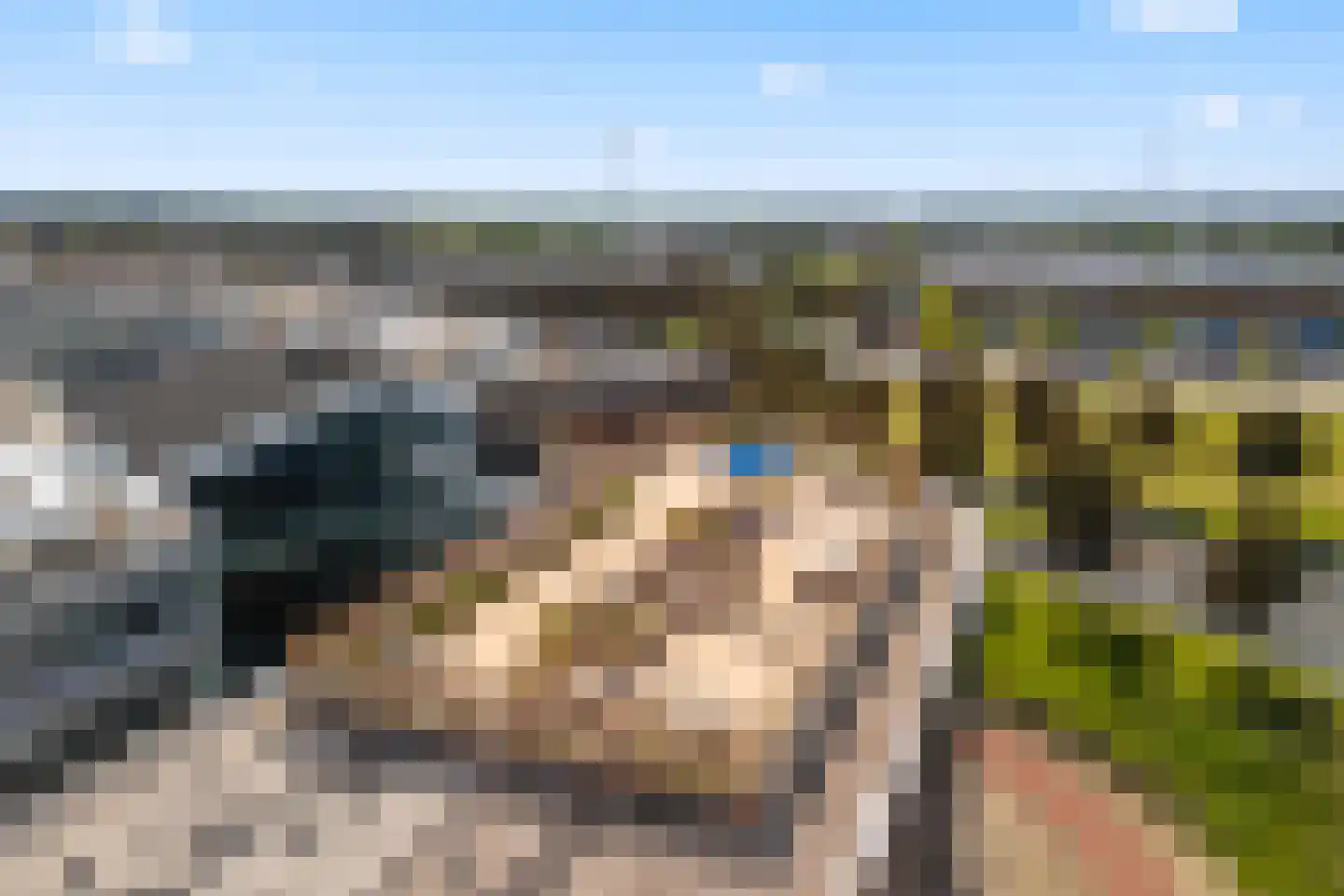 Kromme Schaft 3218 Houten thumbnail 39