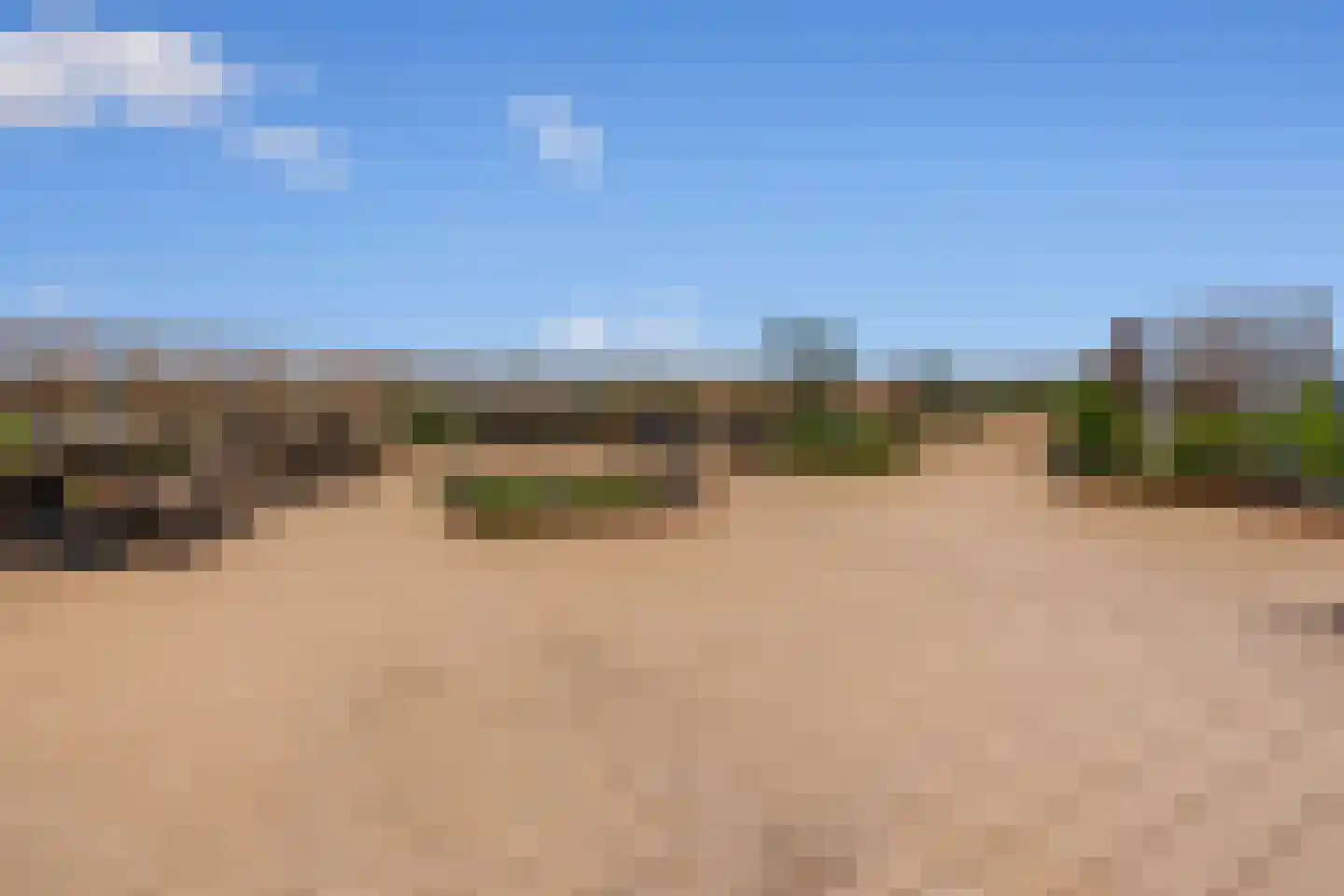 Kromme Schaft Houten thumbnail 19