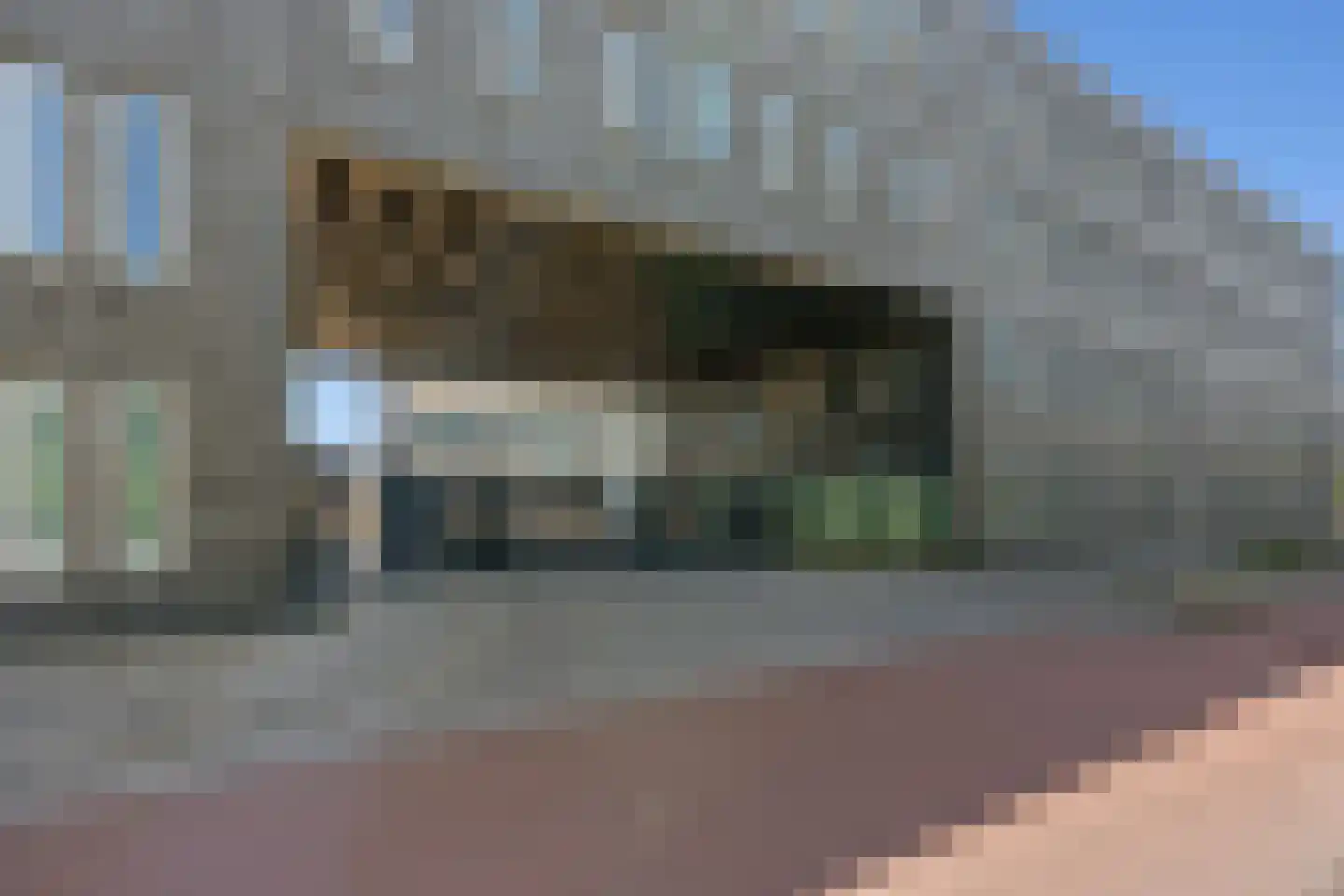 Kromme Schaft Houten thumbnail 21