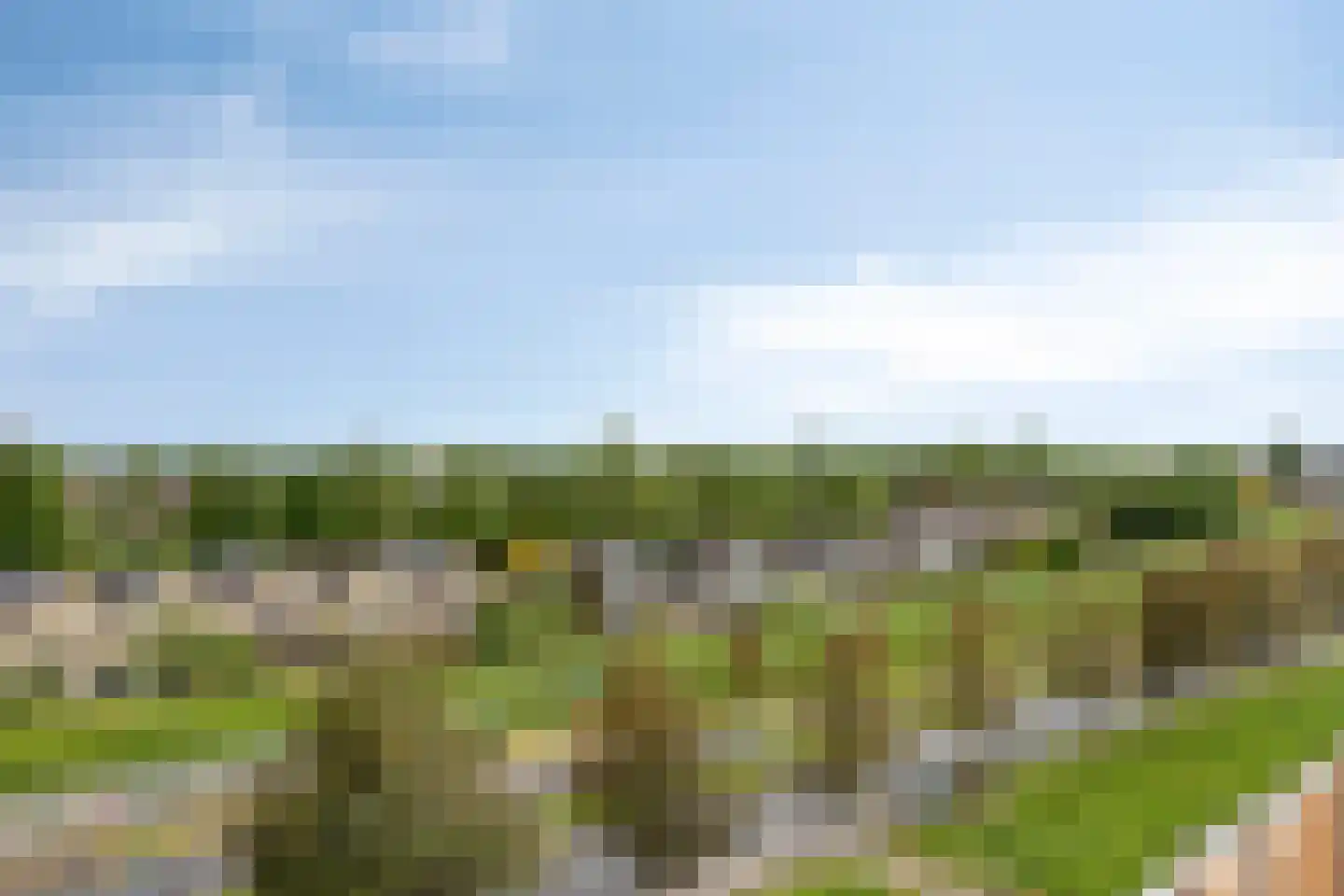 Kromme Schaft Houten thumbnail 21
