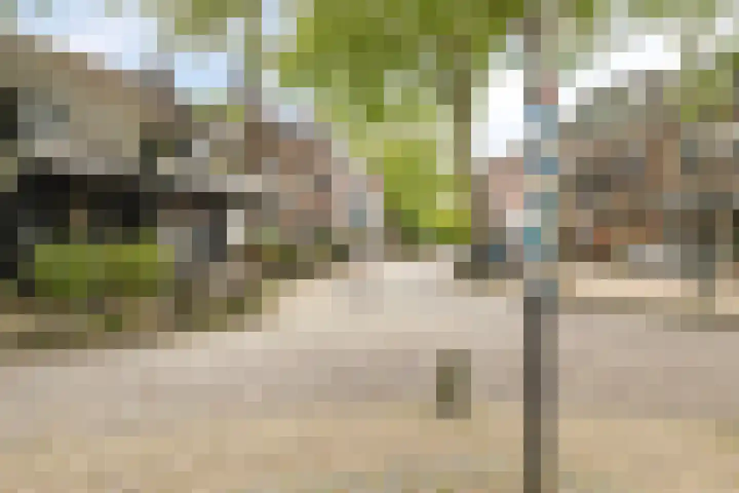 Kromme Schaft Houten thumbnail 24