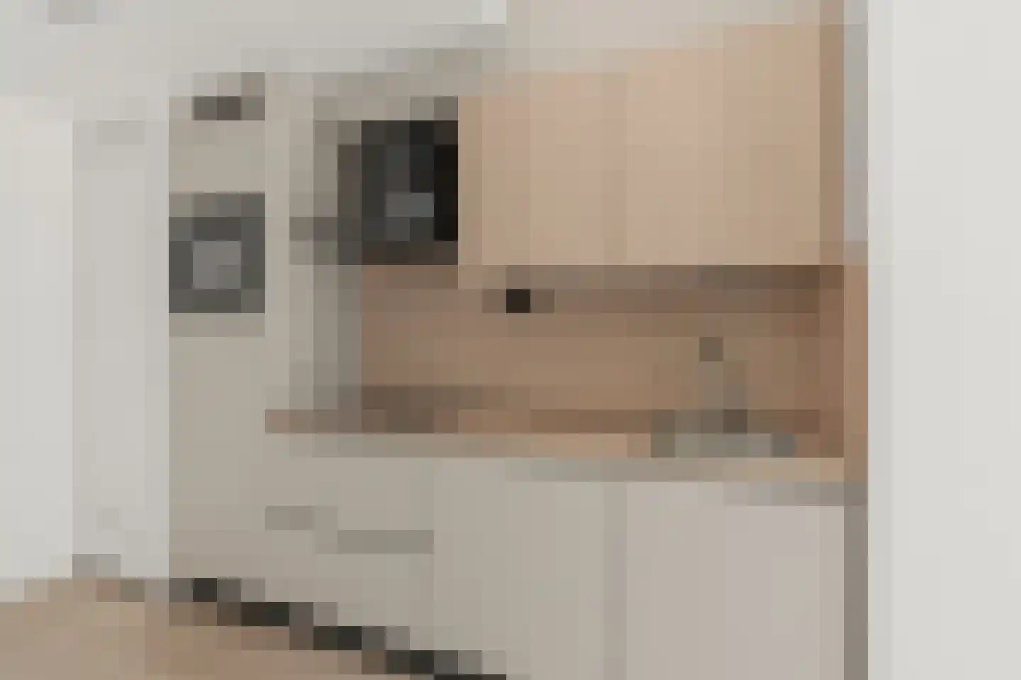 Kromme Schaft Houten thumbnail 8