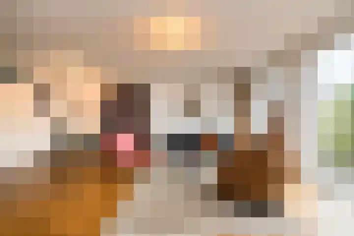 Kromme Slagen 17 Breda thumbnail 10