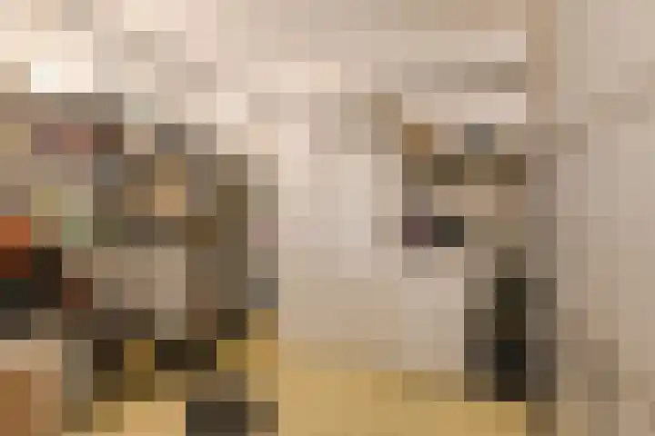 Kromme Slagen 17 Breda thumbnail 19