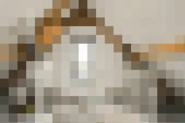 Kromme Slagen 17 Breda thumbnail 33