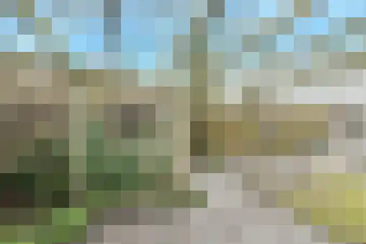 Kromme Slagen 17 Breda thumbnail 43