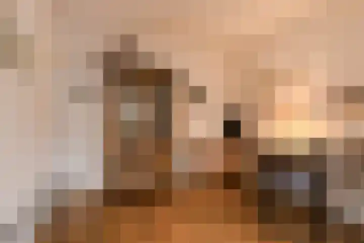 Kromme Slagen 17 Breda thumbnail 7