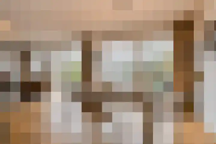 Kromme Slagen 17 Breda thumbnail 9