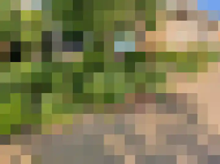 Kromme Spieringweg 217 Vijfhuizen thumbnail 17