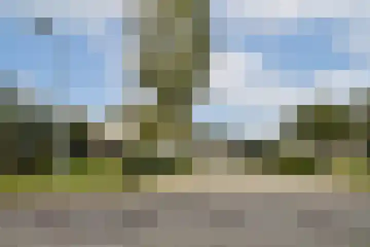Kromme Spieringweg 217 Vijfhuizen thumbnail 19