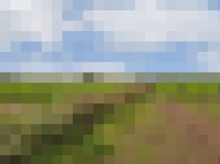 Kromme Spieringweg 217 Vijfhuizen thumbnail 24