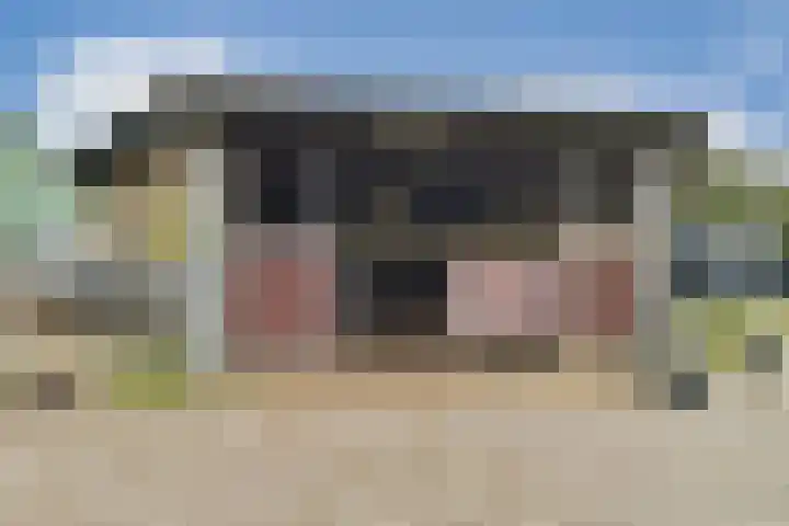 Kromme Spieringweg 217 Vijfhuizen thumbnail 25