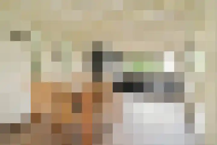 Kromme Spieringweg 217 Vijfhuizen thumbnail 5