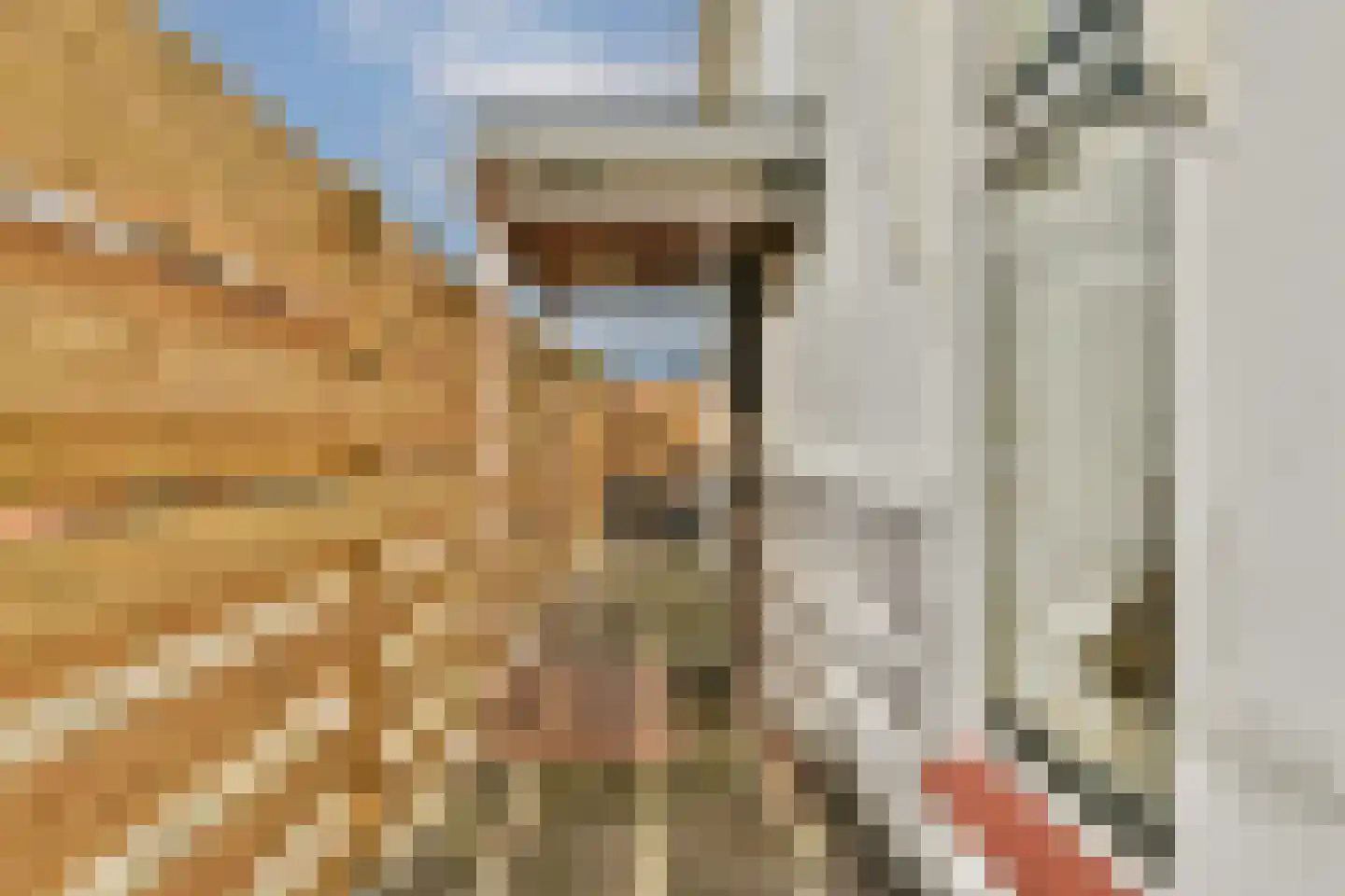 Kromme Spieringweg 311 Vijfhuizen thumbnail 31