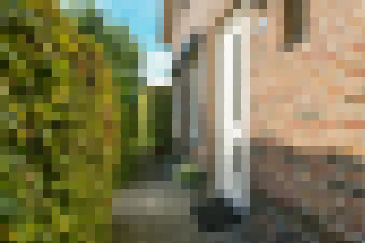 Kromme Spieringweg 327 Vijfhuizen thumbnail 6