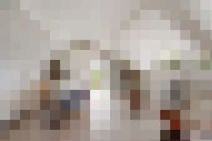 Kromme Spieringweg 349 Vijfhuizen thumbnail 22