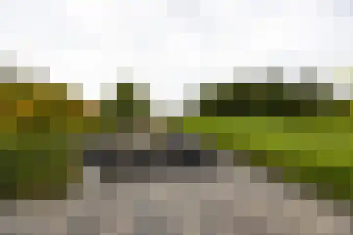 Kromme Spieringweg 349 Vijfhuizen thumbnail 25