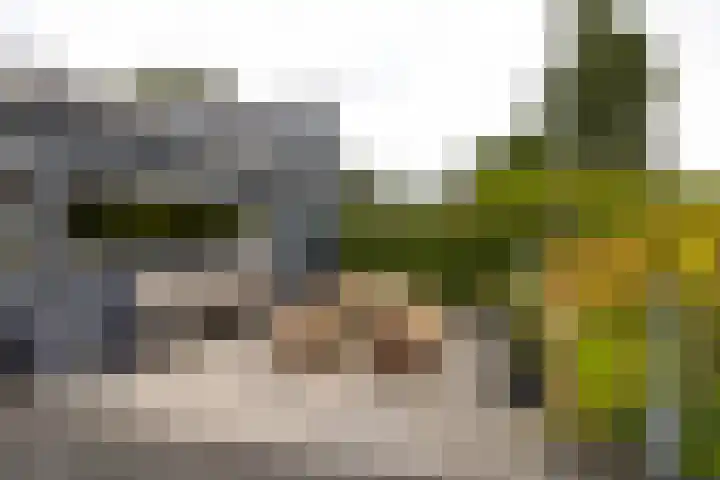 Kromme Spieringweg 349 Vijfhuizen thumbnail 27