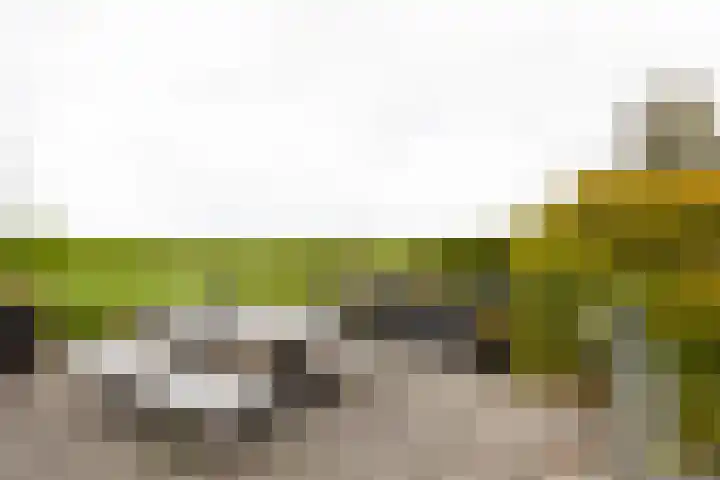 Kromme Spieringweg 349 Vijfhuizen thumbnail 28